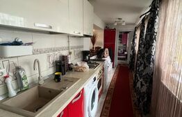 Apartament cu 3 camere, 55 mp, parter, zona George Enescu