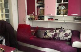 Apartament cu 3 camere, 55 mp, parter, zona George Enescu