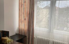 Oportunitate investitie-Apartament cu 2 camere, 41 mp, zona Albina-George Enescu