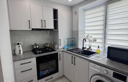 Garsoniera, zona centrala, moderna, Radauti