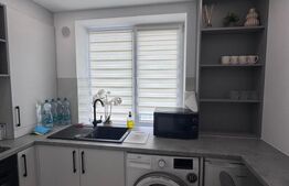 Garsoniera, zona centrala, moderna, Radauti