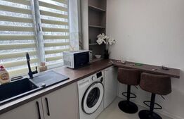 Garsoniera zona centrala , Radauti