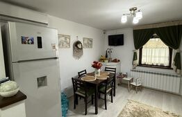 Apartament cu 2 camere, parter, Cuza Voda III