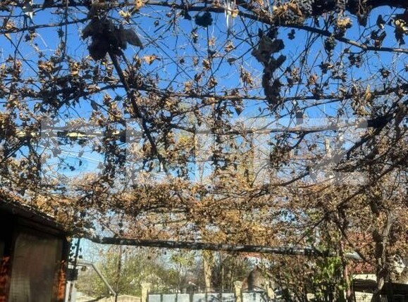 Casa de vânzare 2 camere Sud - 168930CV | BLITZ Suceava | Poza2