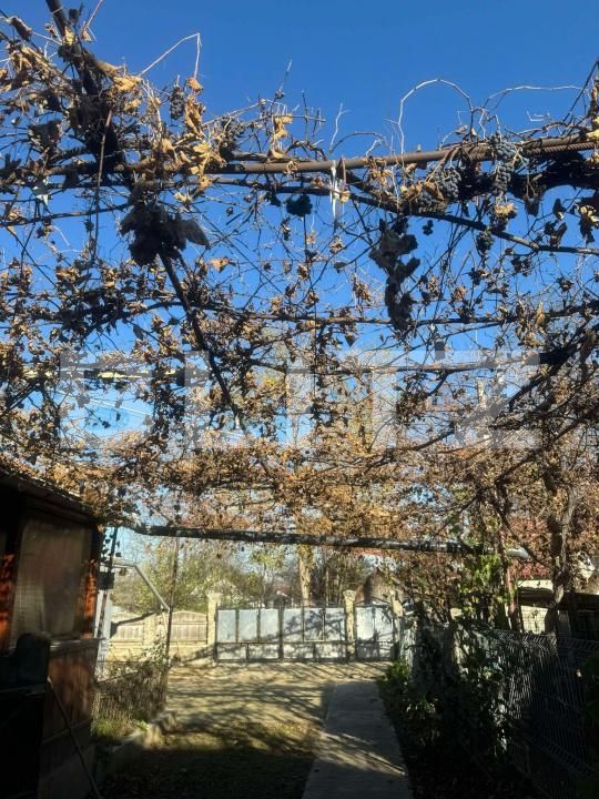 Casa de vânzare 2 camere Sud - 168930CV | BLITZ Suceava | Poza2