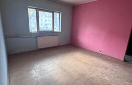 Apartament renovabil, parter, Radauti