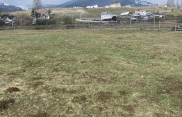 Teren intravilan de vanzare, 12.500 mp, zona Vatra Dornei, Podul Coșnei