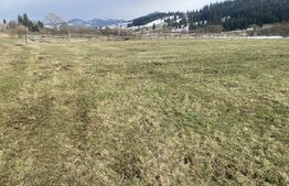 Teren intravilan de vanzare, 12.500 mp, zona Vatra Dornei, Podul Coșnei