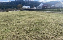 Teren intravilan de vanzare, 12.500 mp, zona Vatra Dornei, Podul Coșnei