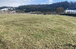 Teren intravilan de vanzare, 12.500 mp, zona Vatra Dornei, Podul Coșnei