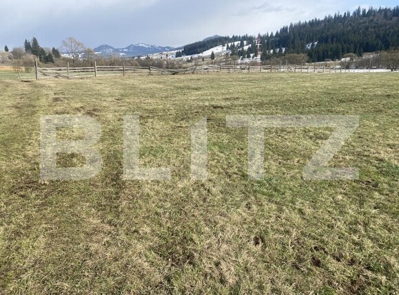 Teren de vânzare Cosna - 168970TV | BLITZ Suceava | Poza1