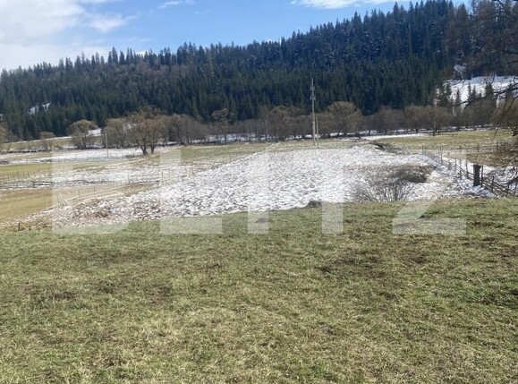 Teren de vânzare Cosna - 168970TV | BLITZ Suceava | Poza5