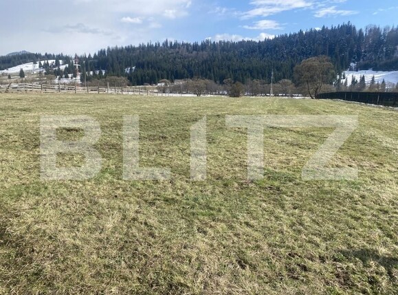 Teren de vânzare Cosna - 168970TV | BLITZ Suceava | Poza4