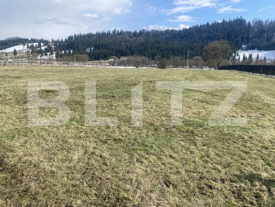 Teren de vânzare Cosna - 168970TV | BLITZ Suceava | Poza4