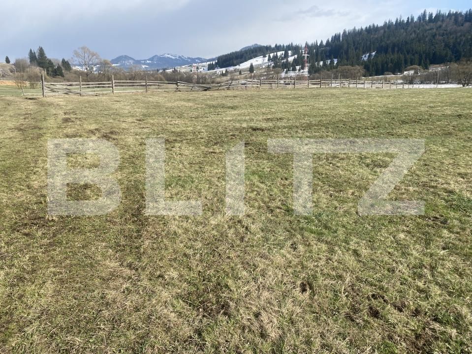 Teren de vânzare Cosna - 168970TV | BLITZ Suceava | Poza1
