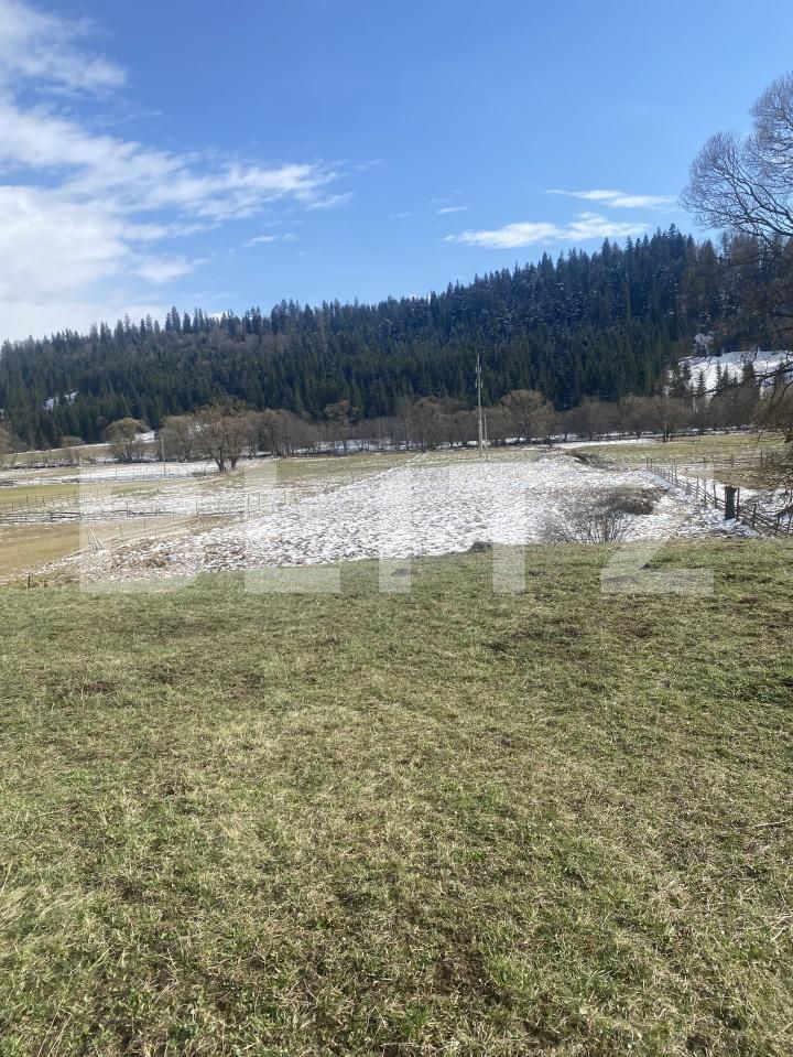 Teren de vânzare Cosna - 168970TV | BLITZ Suceava | Poza5