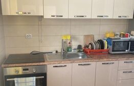 Casă de vanzare, cu 4 camere, 120 mp, zona Neagra Șarului