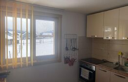 Casă de vanzare, cu 4 camere, 120 mp, zona Neagra Șarului