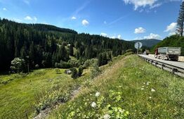 Teren intravilan de vanzare, 6941 mp, zona Mestecăniș