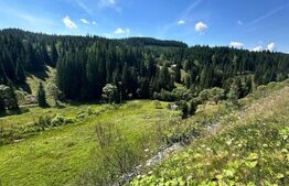 Teren intravilan de vanzare, 6941 mp, zona Mestecăniș