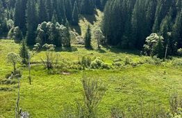 Teren intravilan de vanzare, 6941 mp, zona Mestecăniș