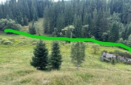 Teren intravilan de vanzare, 6941 mp, zona Mestecăniș