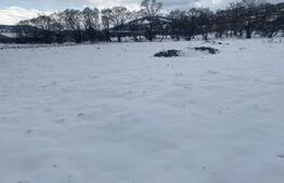 Teren intravilan de vanzare, 4000 mp, zona Vatra Dornei - Strada Chilia