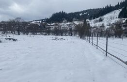 Teren intravilan de vanzare, 4000 mp, zona Vatra Dornei - Strada Chilia