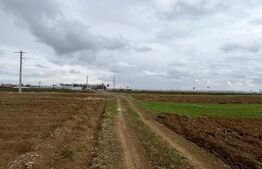 Teren extravilan 2500 mp,cu acces la Centura ,Radauti