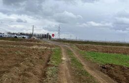 Teren extravilan 2500 mp,cu acces la Centura ,Radauti