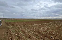 Teren extravilan 2500 mp,cu acces la Centura ,Radauti