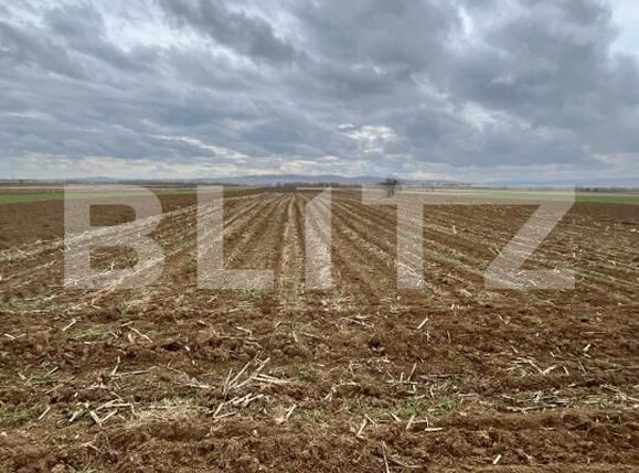 Teren de vânzare Horodnic - 169123TV | BLITZ Suceava | Poza4