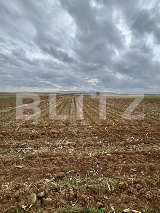 Teren de vânzare Horodnic - 169123TV | BLITZ Suceava | Poza4