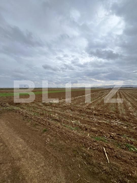 Teren de vânzare Horodnic - 169123TV | BLITZ Suceava | Poza3
