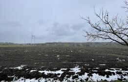 Casă individuală - Teren 9.300 mp - Finisată/Mobilată - Vadu Moldovei 