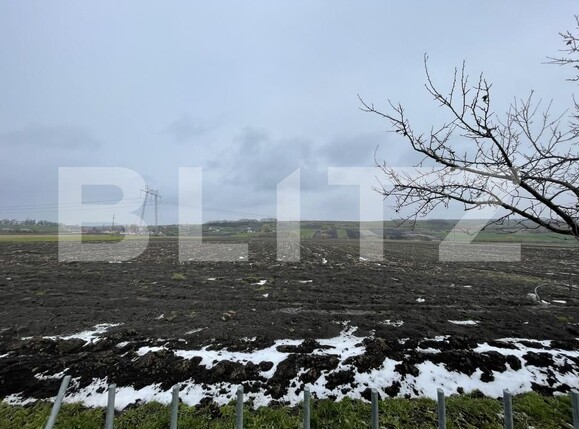 Casa de vânzare 5 camere Vadu Moldovei - 169127CV | BLITZ Suceava | Poza12