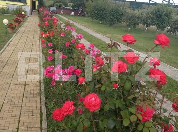 Casa de vânzare 5 camere Vadu Moldovei - 169127CV | BLITZ Suceava | Poza2