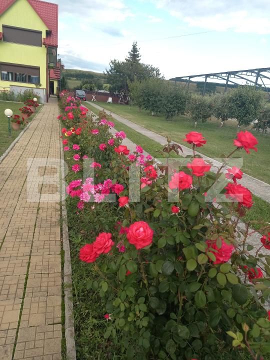 Casa de vânzare 5 camere Vadu Moldovei - 169127CV | BLITZ Suceava | Poza2