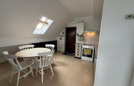 Apartament 2 camere, 71 mp utili, 110 mp curte, zona Burdujeni