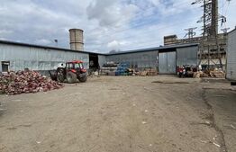 Hala industrială de 519 mp + teren 2.419 mp – Poziționare strategică în Suceava