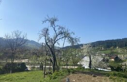 Casă de vânzare, cu 8 camere, 310 mp, cu teren de 1532 mp, zona Frasin