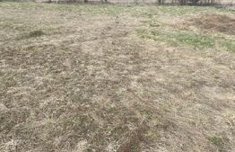 Teren intravilan de vânzare, 4047 mp, zona Vatra Dornei