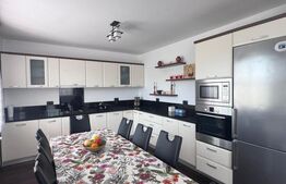 Casa individuala cu 5 camere, 450mp teren, Satu Mare