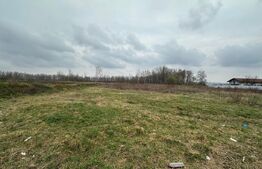 Teren intravilan de vanzare, 4.844 mp, zona Scheia