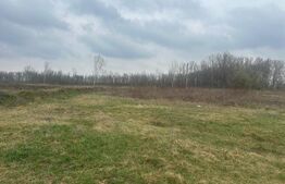 Teren de vânzare Periferie - 189020TV | BLITZ Suceava | Poza5