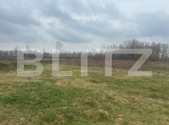 Teren de vânzare Periferie - 169548TV | BLITZ Suceava | Poza1