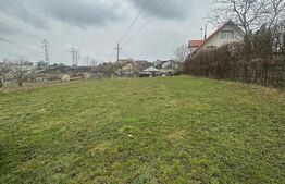 Teren intravilan de vanzare, 1000 mp, zona Ipotesti