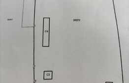 Ideal pentru afacere! Teren industrial cu hale și curent trifazic, zona Frasin