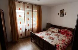 Apartament cu 3 camere, parter, zona Zamca