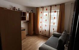 Apartament cu 3 camere, parter, zona Zamca